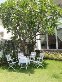 BDS HVL [NC] BIỆT THỰ HOÀNG GIA DĨ AN 10x24M CÓ BẢO VỆ CHỈ 24 TỈ