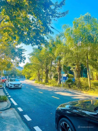 Chính chủ Bán Căn Liền Kề 3,5 Tầng 99m2 Ven Biển tại trung tâm du Lịch Bãi Cháy,