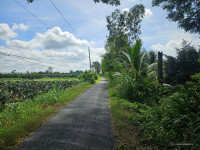 Bán đất mặt tiền đường Hồ Văn Mão, Long Bình Điền, Chợ Gạo TG