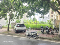 Bán lô đất biệt thự mặt đường đôi Mai Hắc Đế, KĐT Tuệ Tĩnh, Tây HP, 195m2, mt 12