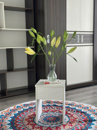 500k ngày, đậm chất riêng tư, 55m2 1PN 1WC, tự do sáng tạo.