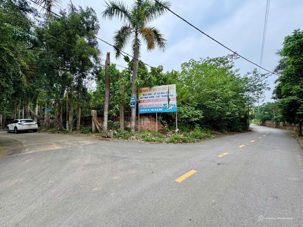 EM XIN ĐƯỠC LÔ ĐẤT NGOẠI GIAO GIÁ TỐT