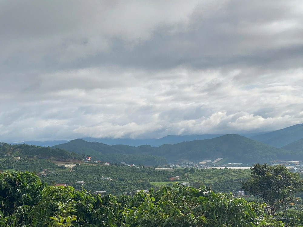 Bán đất Nam Ban, Lâm Hà, Lâm Đồng, 1,25 tỷ, 500m2 chính chủ giá tốt