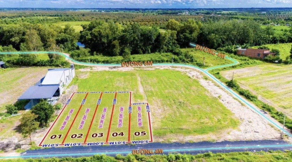 Đất ven DT784 – Tâm điểm đầu tư sinh lời tại Gò Dầu, Tây Ninh!