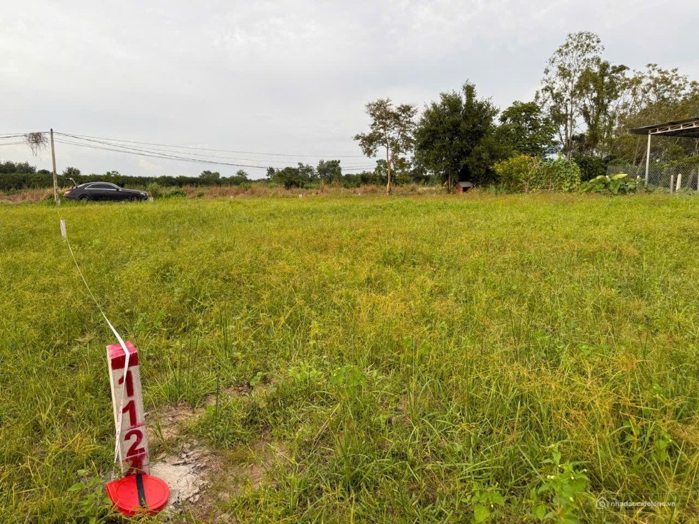 BẠN ĐANG TÌM LÔ ĐẤT VÀNG TẠI GÒ DẦU => Ở ĐÂY