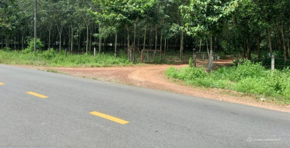 Chủ gửi lô đất 225m2 MT DH504 giá rẻ, công chứng ngay