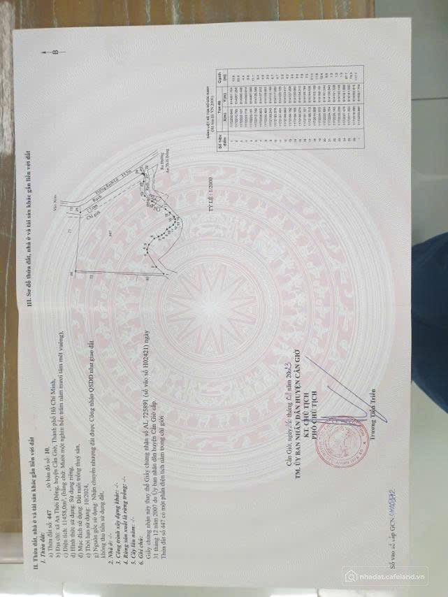 Bán đất tại Xã An Thới Đông TPHCM .