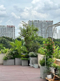 Căn hộ có sân vườn giá từ 2,1 tỷ siêu đẹp