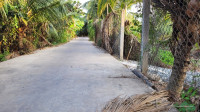 Bán đất chính chủ Mỹ Hưng, Mỹ Phong, TP Mỹ Tho, tỉnh Đồng Tháp (Tiền Giang cũ)