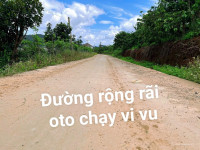 MỞ CỬA NHÌN RA ĐỒI THÔNG – MẢNH ĐẤT NHỎ, GIẤC MƠ LỚN GẦN ĐÀ LẠT - Chỉ 7xxtr