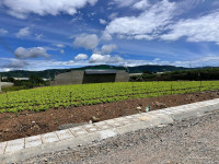 Bán đất Đơn Dương 105m² – sổ riêng, công chứng ngay, 630 triệu