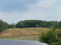 Nhà xưởng MT TL7 20.000m2 - 800 thổ - 80ti