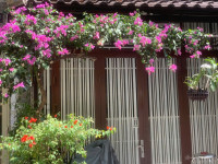 Quận 10, Nguyễn Tri Phương, phường Vườn Lài, 30m2, 4 tầng, 4PN, hơn 7 tỷ
