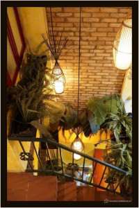 Nhà vị trí đẹp 3.8 x 17m 1 trệt 3 lầu Trần Điện Quận 5 TP.HCM