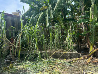 SIÊU PHẨM CẠNH CẦU VƯỢT HẢI THÀNH – GIÁ HIẾM DƯỚI 3 TỶ  ZALO 0567 222 555