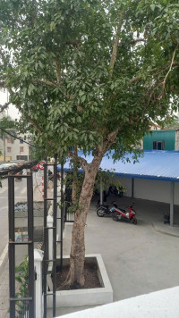 Cho thuê mặt bằng KD dt 400m2 tại Bồ Đề, Long Biên. Ngay đầu cầu Chương Dương