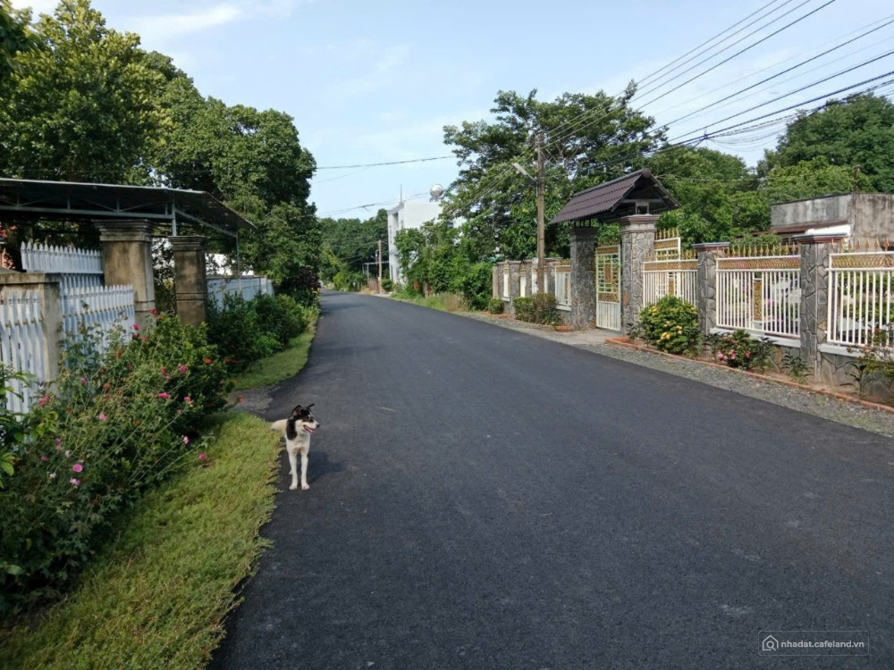 LÔ GÓC 2 mặt tiền đường nhựa ngay trung tâm xã Xuyên Mộc, Thành Phố Hồ Chí Minh