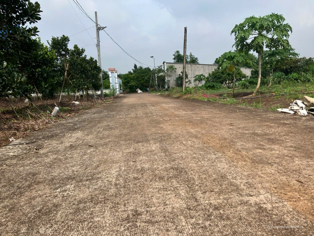 CỰC PHẨM VIEW HỒ – 1.500M² FULL HỒNG, GẦN SÂN BAY LONG THÀNH – CHỈ 1,2 TRIỆU/M²