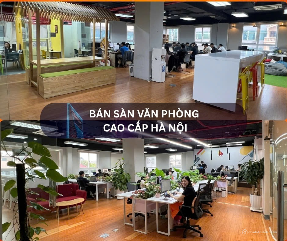 Bán sàn văn phòng hạng A 720m2, sổ đỏ lâu dài hàng hiếm