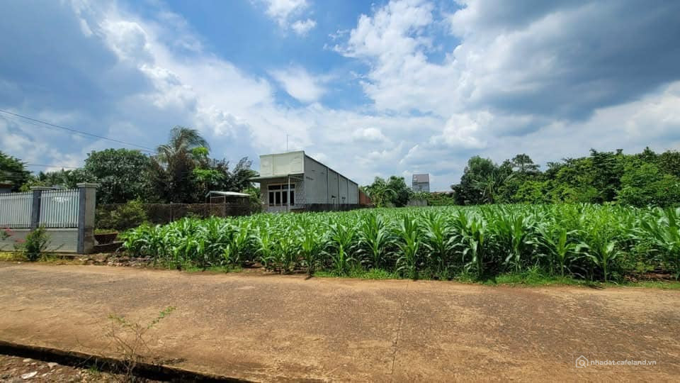 BÁN 1415m XÃ LỐ 25 THỐNG NHẤT GẦN SÂN BAY LONG THÀNH