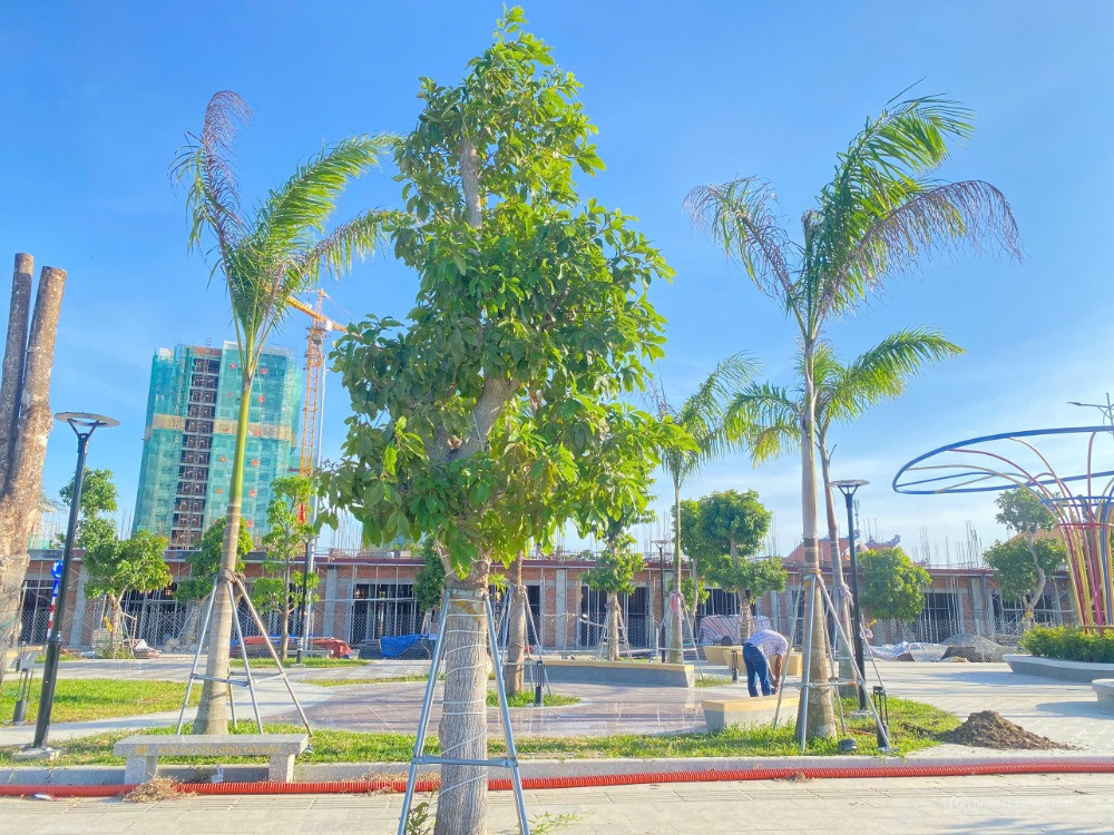 Đất nền trung tâm Phan Rang – Giảm ngay 260 triệu, ưu đãi cuối năm cực hot!