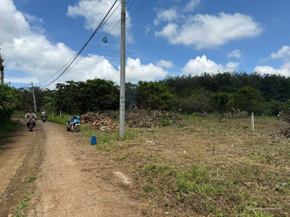 BÁN ĐÂT SUỐI TRE BÌNH LỘC LONG KHÁNH ĐỒNG NAI KHU DÂN CƯ