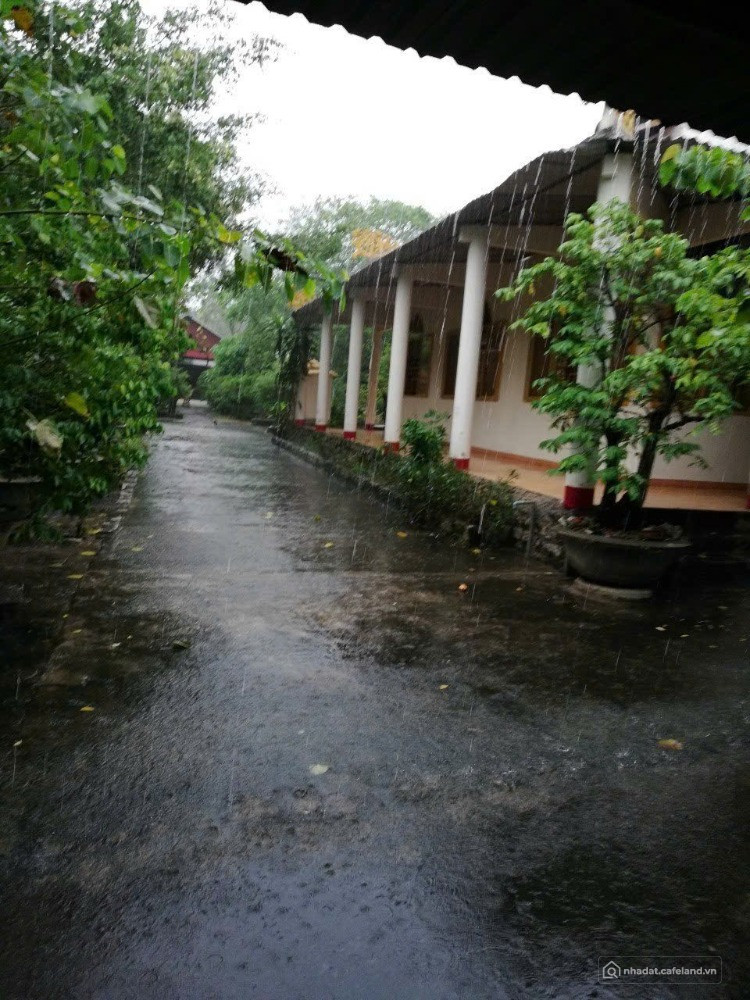 Cần Bán GẤP Đất tại Phường Phú Mỹ – TP. HCM cho Người lập tự