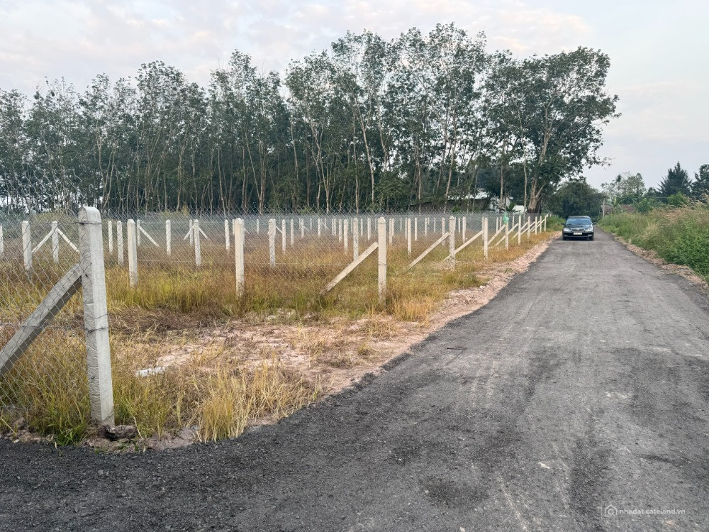 449tr Sở hữu lô đất nền siêu tiềm năng - Sổ sẵn