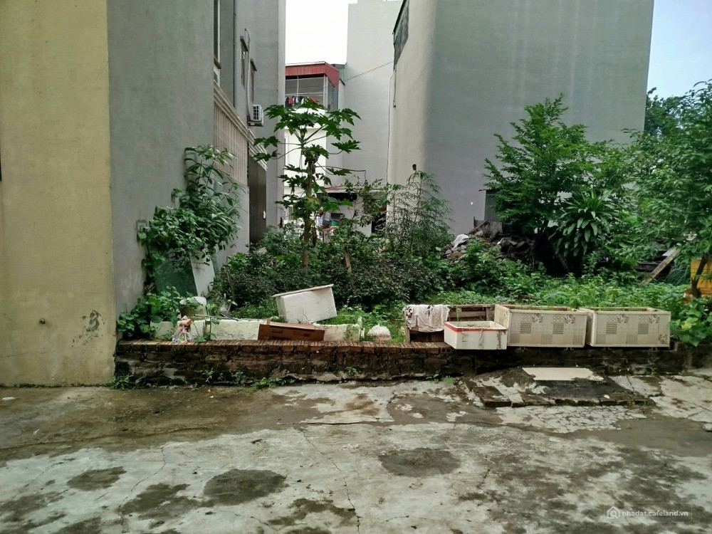 BÁN GẤP đất Ao Ngòi – Thôn Cao Xá – Xã Đức Thượng – Hoài Đức – Hà Nội