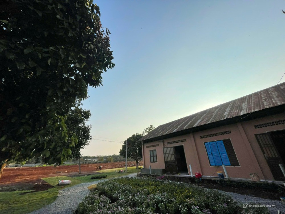 Cơ hội hiếm: Đất nền giữa 2 cao tốc – tiềm năng tăng giá 25–35%/3 năm!”