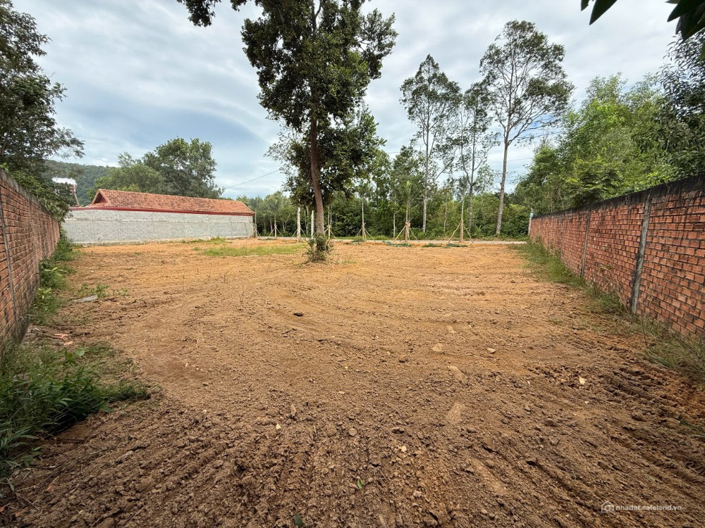 Bán đất thổ cư 110m2 mặt đường khu Tượng, gần đường lớn. Giá chỉ 1,6 tỷ