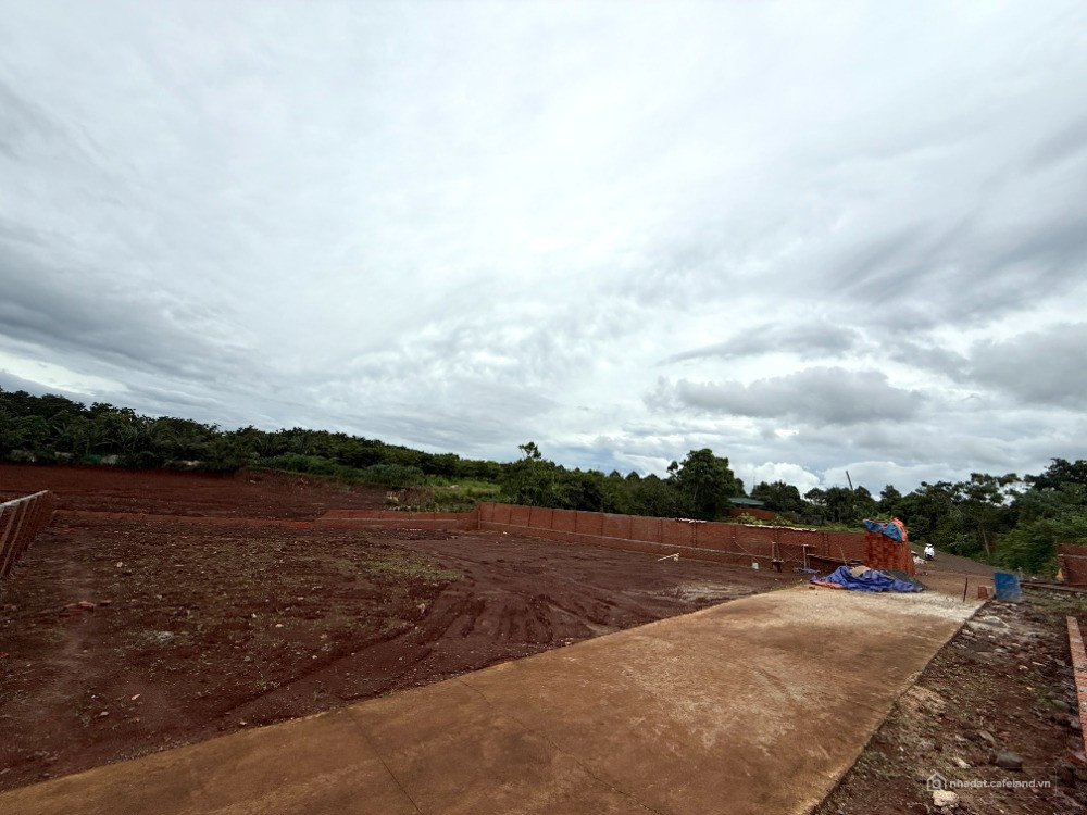 Bán 2 lô 1200m2 đất CLN quy hoạch TMDV đối diện Khu đô thị Ân Phú