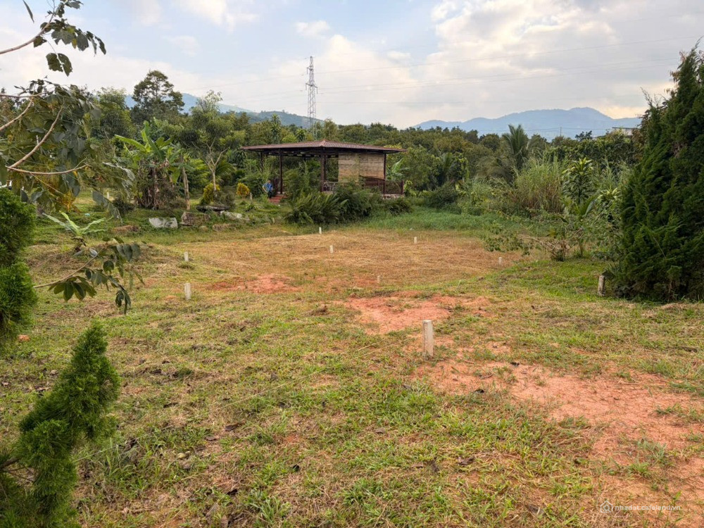 Lộc Nam - 2 lô cuối cùng giảm chó khách hàng đầu tiên 150tr và khách thứ 2 100tr