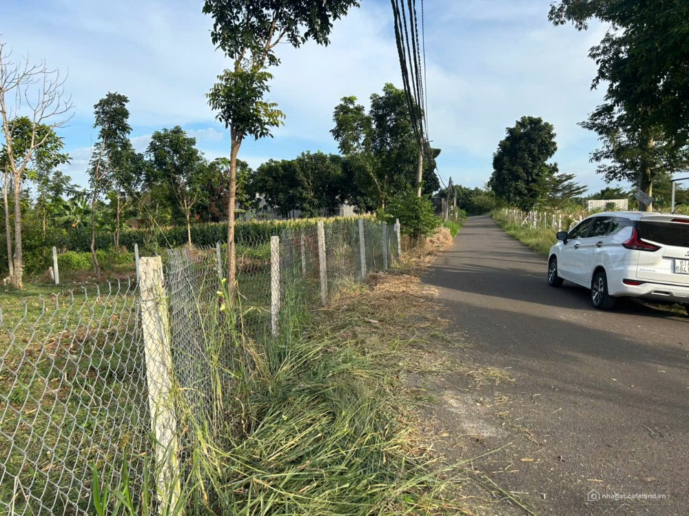Đất mặt tiền đường nhựa có thổ cư sẵn 300m giá 2.5tr/m2 ở Trảng Bom gần khu CN