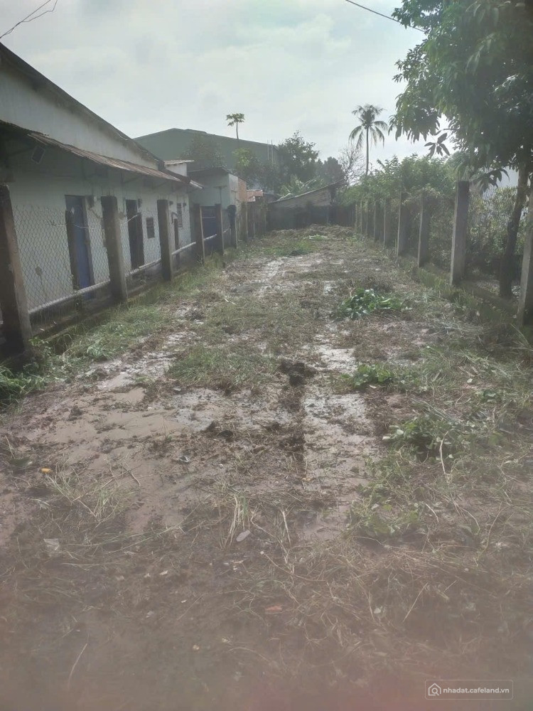 Bán đất mặt tiền đường Ba Sa, đường rộng, khu dân cư hiện hữu nhiều tiện ích.