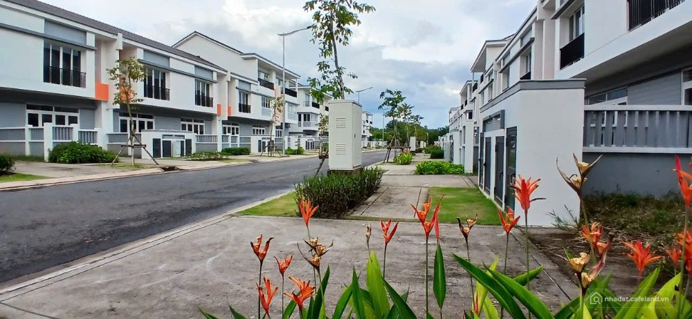 Môi trường sống thượng lưu 6x20, đậm chất sống sinh thái