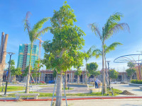 Đất nền trung tâm Phan Rang – Giảm ngay 260 triệu, ưu đãi cuối năm cực hot!