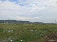 Chuyển nhượng khu công nghiệp Đại An – Hải Dương, 40.000m2