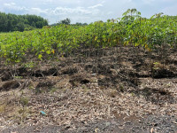 Chính chủ cần bán gấp 2 lô đất siêu đẹp sân bay Long Thành - Đồng Nai