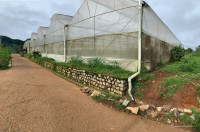 Đất có nhà kính xã Mê Linh, Lâm Hà – 2.000m² có 400m² thổ cư, sổ đỏ, giá 3 tỷ