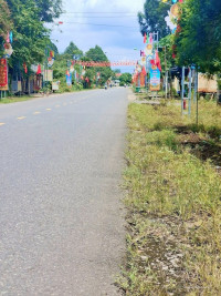 Chính chủ cần sang lại lô đất MT DH519 32m SHR 350tr