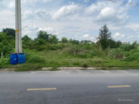 chính chủ bán đất đường nhựa thông chợ việt kiều củ chi đường tỉnh lộ 8 sổ hồng