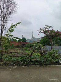 Lô đất rẻ Đường cây Da, Tân Đông Hiệp, Dĩ An, TPHCM. 145m2 ĐXH, SHR giá 3.25 tỷ