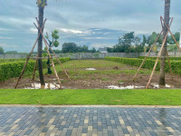 Bán đất khu compound tiện ích gần biển Phước Hải, BRVT