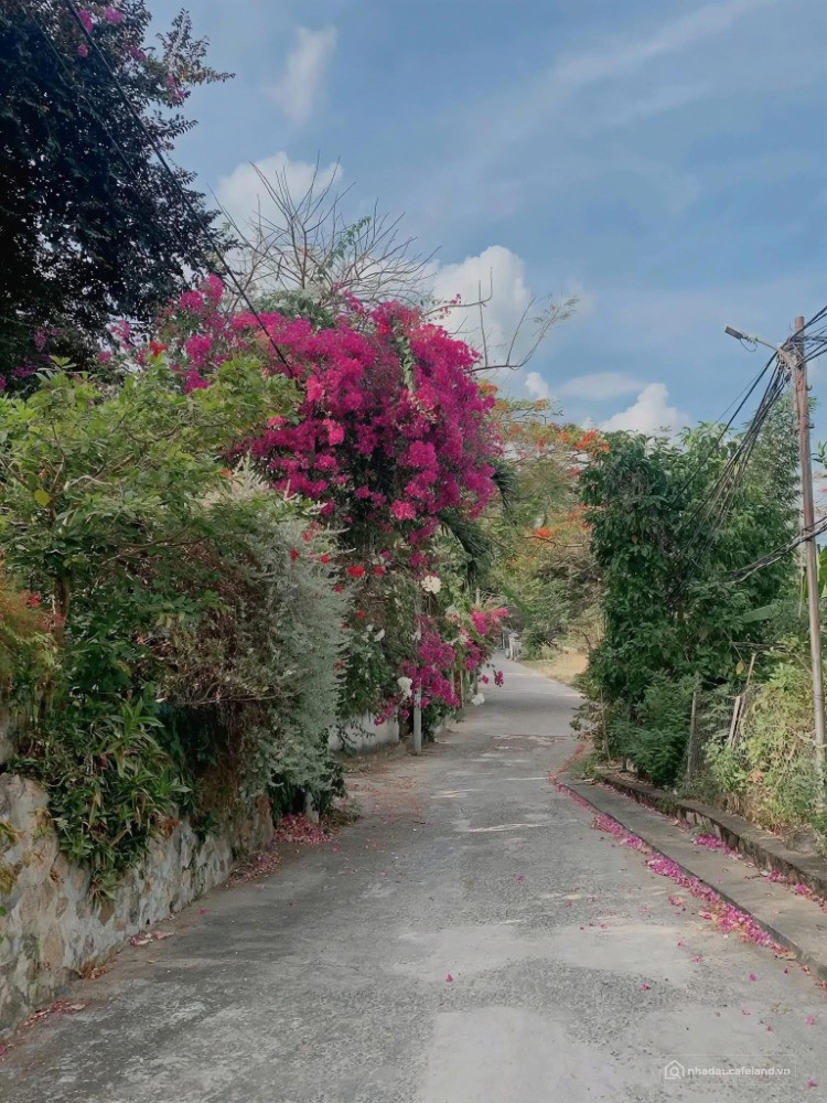  BÁN ĐẤT BIỆT THỰ VIEW BIỂN TRẦN PHÚ 467.3M² – GIÁ 37.5 TỶ – P.5 VŨNG TÀU