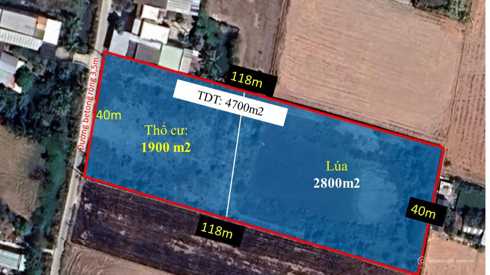 Bán đất thổ lúa đường xe hơi tại Xã Long An, Cần Giuộc, Long An