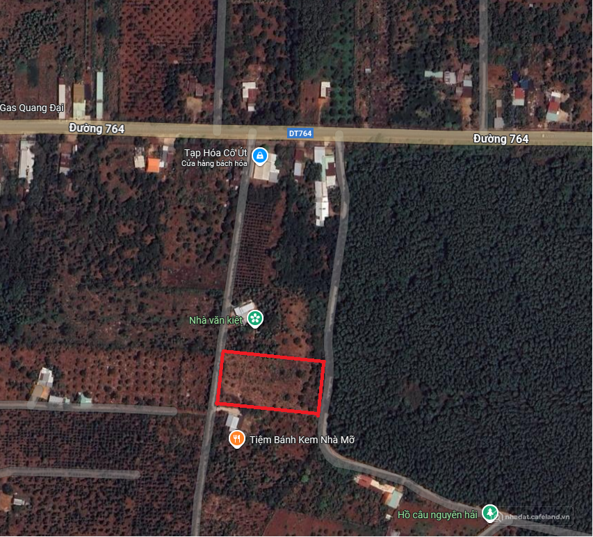 Bán vườn sầu riêng 3 năm  gần sân bay Long Thành tiện làm nhà vườn nghỉ dưỡng