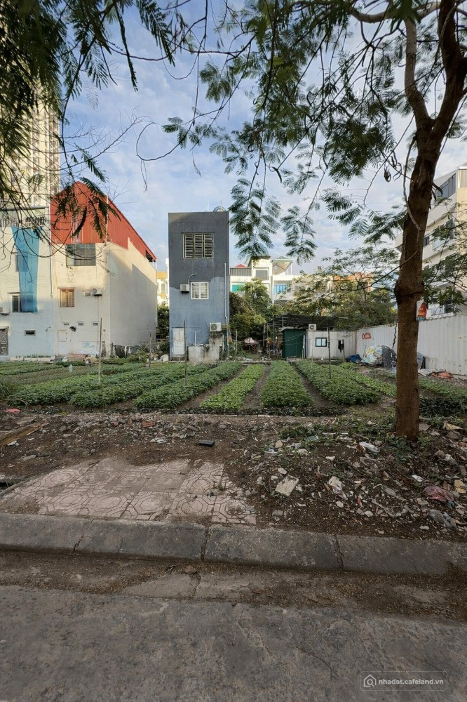  CHÍNH CHỦ CẦN BÁN LÔ ĐẤT TRUNG TÂM VÕ CƯỜNG – BẮC NINH