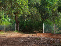 MỘT MẢNH ĐẤT MỚI TOANH GIÁP SUỐI - VIEW HỒ TRỊ AN - SẴN NHÀ CONTAINER SIÊU ĐẸP