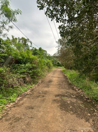  Đất vàng Đồng Nai – Giá chỉ 700tr!!! 